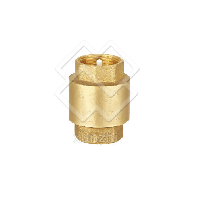 Válvula de retención hidráulica de latón XFM05009